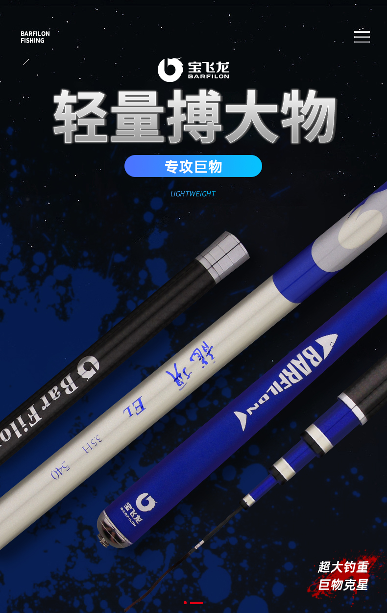 宝飞龙钓具鱼竿野钓休闲竿龙顶详情_01.jpg